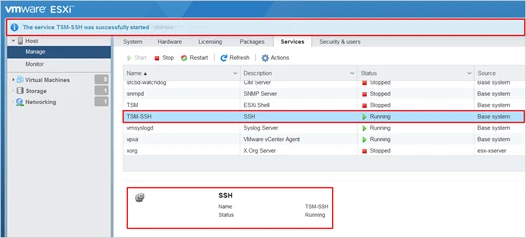 that the service TSM-SSH successfully started